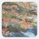 Search for stream stickers Landscape
