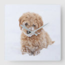 Search for goldendoodle art Adorable