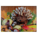 Search for hedgehog chopping boards Cute