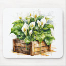 Search for calla lily electronics Watercolor