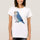 Search for quaker parrot Cute