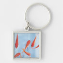 Search for goldfish square key rings Seafood