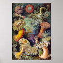 Search for life science posters Vintage