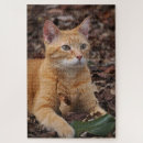Search for ginger cat puzzles Animal