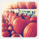 Search for fall vegetable stickers Pumpkin