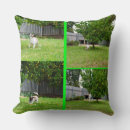 Search for terrier cushions Pet