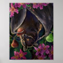 Search for fruit bat art Flying fox