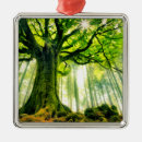 Search for moss christmas tree decorations Nature