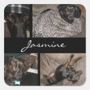 Search for pet name stickers Modern