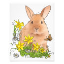 Search for easter flowers posters Rabbit