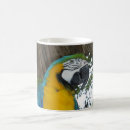 Search for blue and gold macaw mugs Bird