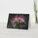 Search for blume cards Danke