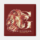 Search for gryffindor magnets Hogwarts