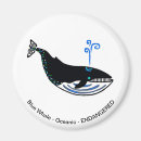 Search for blue whale magnets Whales