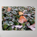 Search for frost posters Green