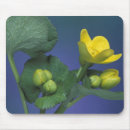 Search for nas mouse mats Bloom