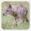 Search for cade stickers Nobody