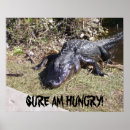 Search for alligators posters Everglades