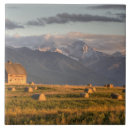Search for bale tiles Landscape