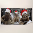 Search for sloth beach towels Adorable