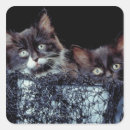 Search for containers stickers Horizontal