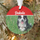 Search for collies christmas tree decorations Dogs