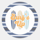 Search for beach envelope seals Summer