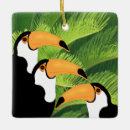 Search for rainforest christmas tree decorations Toucan