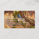 Search for bluebird business cards Photography