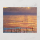 Search for adirondack postcards Usa