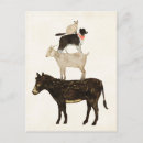 Search for barnyards postcards Animals