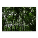 Search for canopy Photography