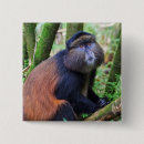 Search for ap square badges Great ape