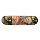 Search for skatebording skateboards Cute