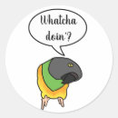 Search for senegal stickers Bird