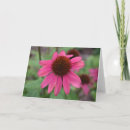 Search for horticultural cards Floral