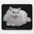 Search for fluffy cat electronics White