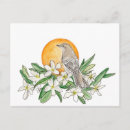 Search for florida bird postcards state flower