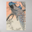 Search for peacock decor posters Old