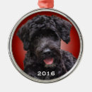 Search for portuguese water dog christmas Dogs
