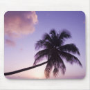 Search for coconuts mouse mats Tree