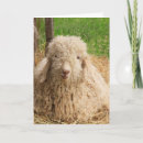 Search for funny farmer cards Joke