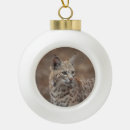 Search for bobcat christmas tree decorations Animal