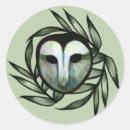 Search for barn owl stickers Nature