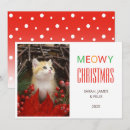 Search for cat lovers christmas cards Kitten