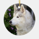 Search for alaskan husky christmas tree decorations Puppies