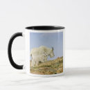 Search for dittos mugs Usa