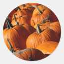 Search for fall vegetable stickers Halloween
