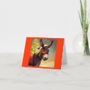 Search for mule christmas cards Xmas