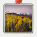 Search for rocky mountaineer christmas tree decorations Telluride
